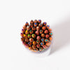 Pot of 48 Lyra Groove Slim Pencils 24 Colours | © Conscious Craft